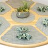 Sweet Pea Linens - Seafoam Green/Tan Wipe Clean Wedge-Shaped Placemats - Set of Two (SKU#: RS2-1006-F19) - Alternate Table Setting