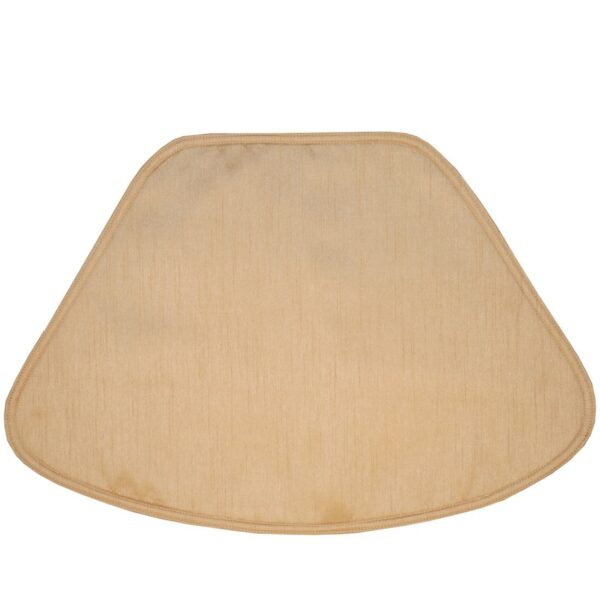 Sweet Pea Linens - Gold Shantung Wedge-Shaped Placemats - Set of Two (SKU#: RS2-1006-H14) - Main Product Image