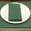 Sweet Pea Linens - Solid Green Rolled Hem Jacquard Cloth Napkins - Set of Four (SKU#: RS4-1010-Y5) - Table Setting